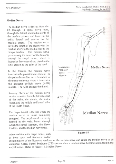 Nerve conduction study fundamentals for training NCS techniciams in the ...